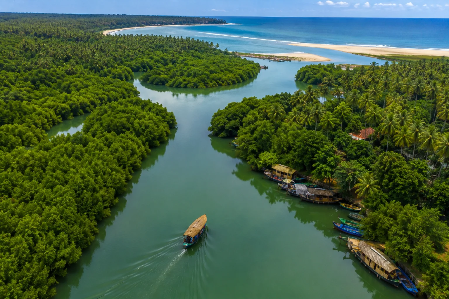 Poovar Mangrove